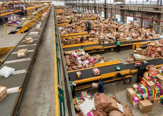 Courier Consolidation Warehousing Shipping DDP Ocean Freight Forwarding Services