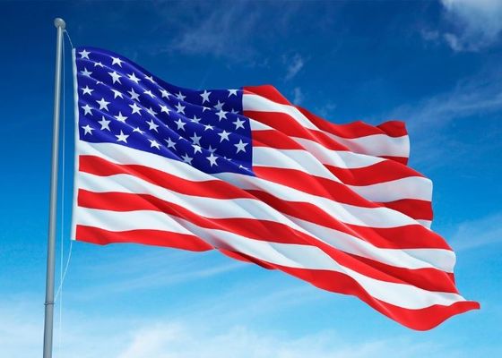 Reliable Ocean Freight Forwarder Agent Express Shipping From China To USA