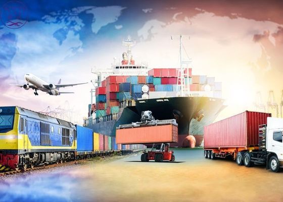 Courier Consolidation Warehousing Shipping DDP Ocean Freight Forwarding Services