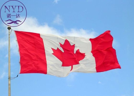 CIF Agent Freight Forwarder China To Canada Forwarding DDU DDP
