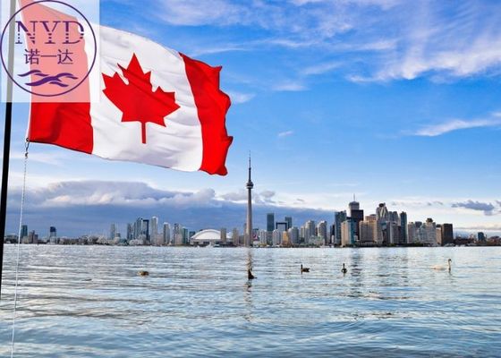 FBA Amazon Express Cargo Forwarding / Shipping Service From China To Canada